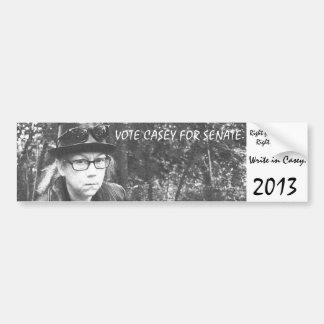 STEMMING VOOR SENAAT. Hoe erg kan het zijn? Bumpersticker