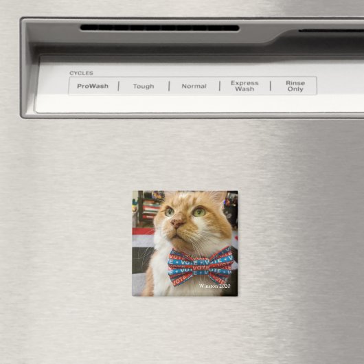 Stemming: woensdag magneet (Insitu (Vaatwasser))