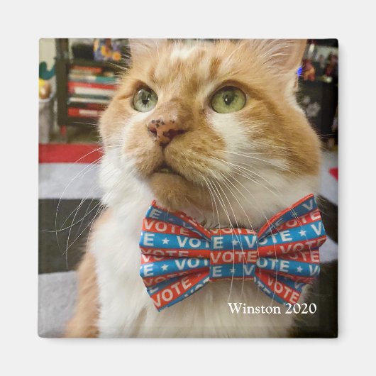 Stemming: woensdag magneet (Voorkant)