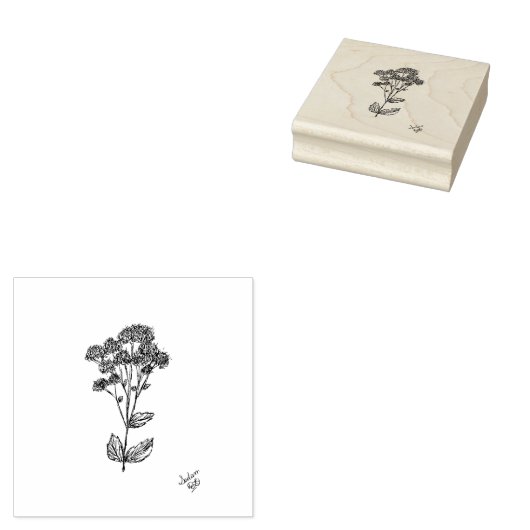Stempel, Botanische kunst, Sedum Plant Rubberstempel (Gestempeld)