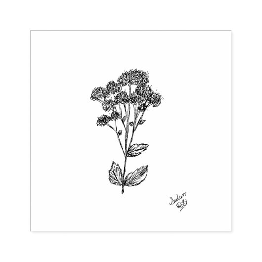 Stempel, Botanische kunst, Sedum Plant Rubberstempel (Afrduk)