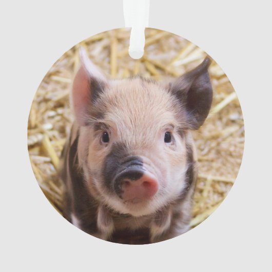 Stempel Ornament (achterkant)