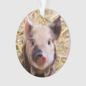 Stempel Ornament (voorkant)