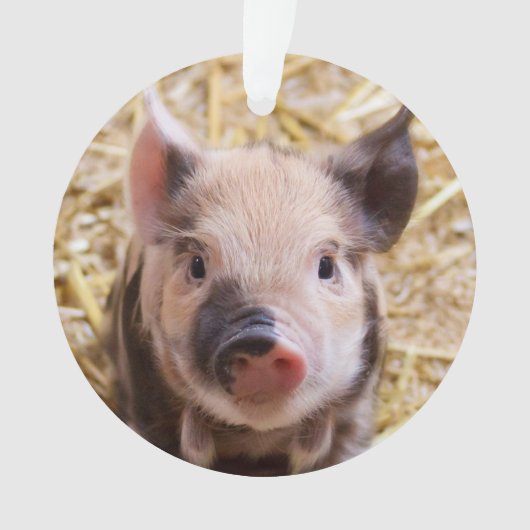 Stempel Ornament (voorkant)