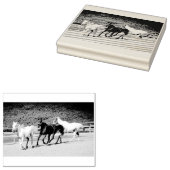 Stempel van drie paarden (Gestempeld)