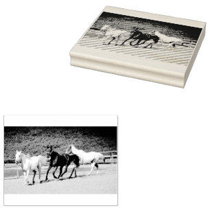 Stempel van drie paarden