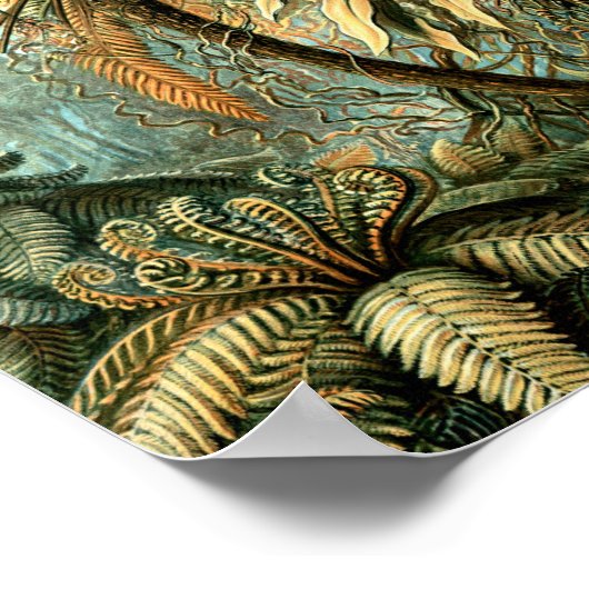 Stempel van Ernst Haeckels Kunstformen der N Poster (Hoek)