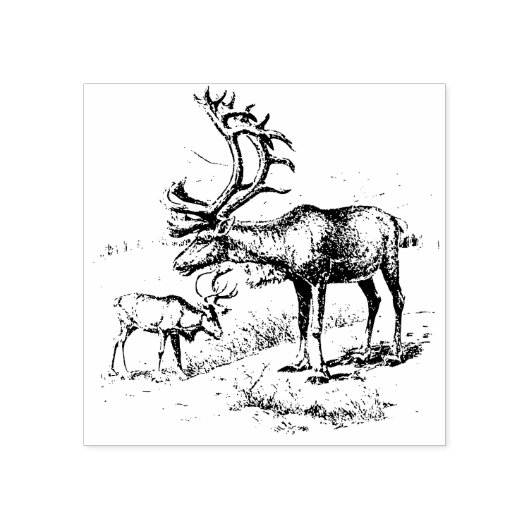 Stempel van rendierrubber (Afrduk)