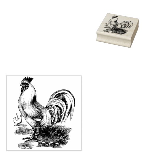 Stempel van rubber (Gestempeld)