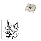 stempel van wilde katten (Gestempeld)