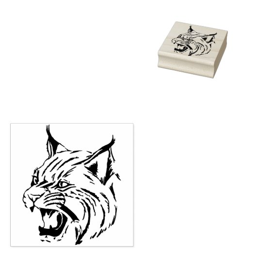 stempel van wilde katten (Gestempeld)