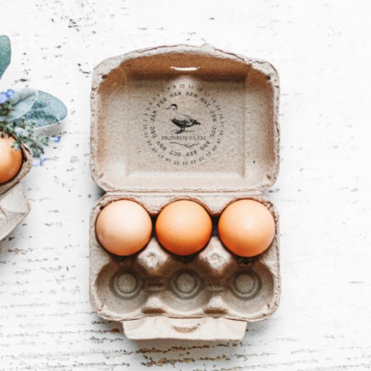 Stempel voor eierkartons van boerderij met eendene