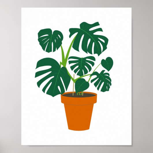Stempelbloem Monstera in bloempotje Poster (Voorkant)