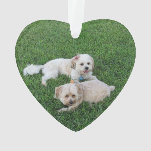 Stempelhonden Ornament (achterkant)