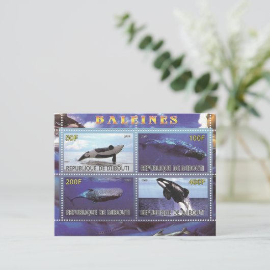 stempels voor dolfijnendolfijnen - briefkaart (Staand voorkant)