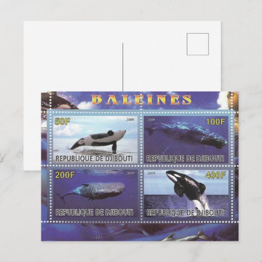 stempels voor dolfijnendolfijnen - briefkaart (Voorkant / Achterkant)