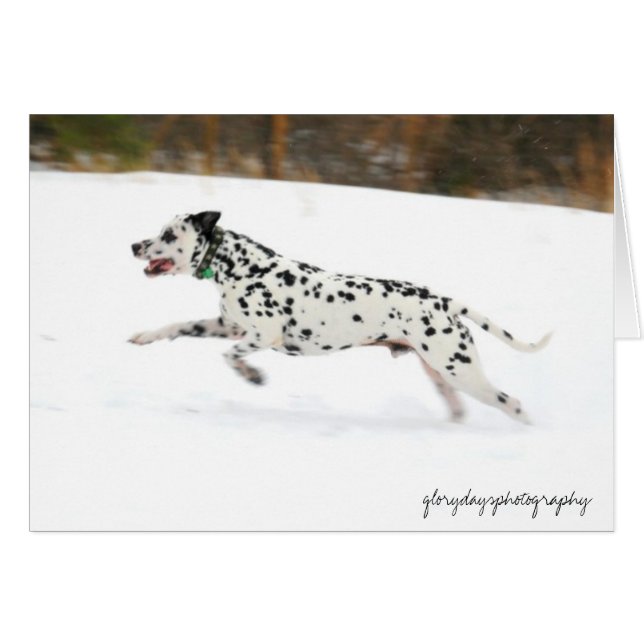 Stenen (Voorkant Horizontaal)