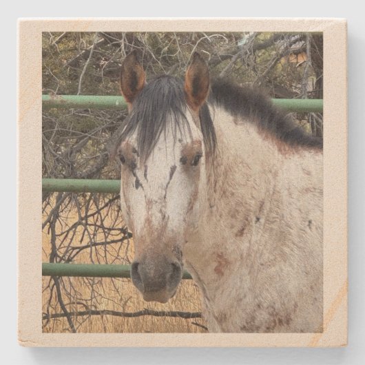 Stenen Achtbaan- Happy Appy Onderzetter (Voorkant)