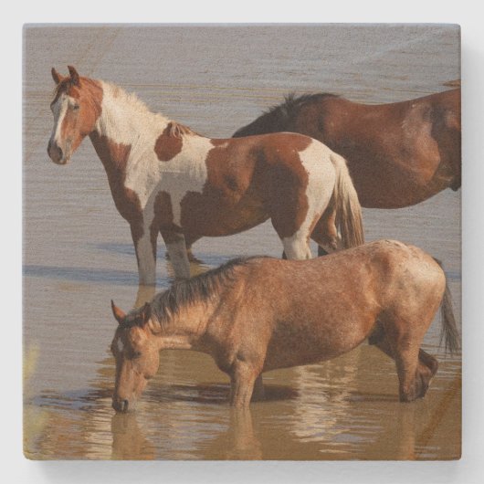 Stenen achtbaan_mustangs in water onderzetter (Voorkant)