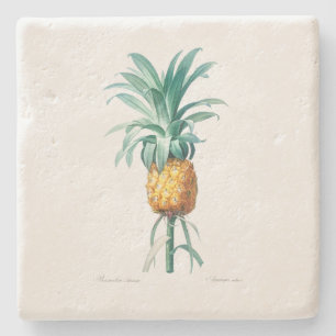 STENEN BIERVILTJE: PINEAPPEL : REDOUTÉ ONDERZETTER