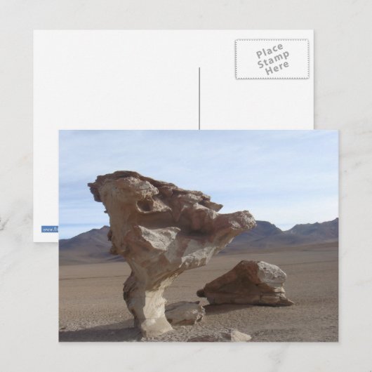 Stenen bladeren briefkaart (Voorkant / Achterkant)