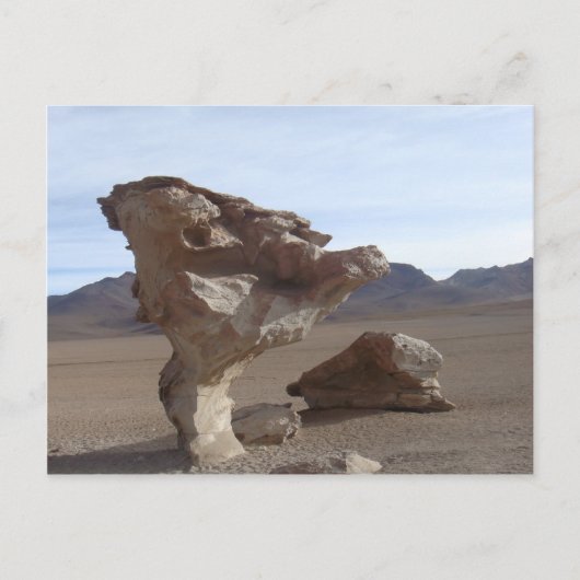 Stenen bladeren briefkaart (Voorkant)