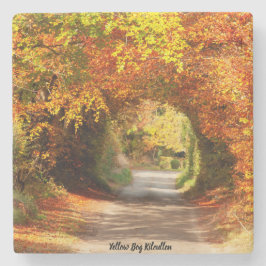 Stenen Coasters Gele Moeras Kilcullen Onderzetter