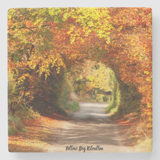 Stenen Coasters Gele Moeras Kilcullen Onderzetter (Voorkant)