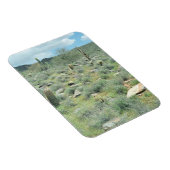 Stenen Decoratief Westerne fotomagneten Magneet (Rechterzijde)