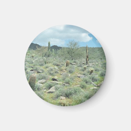 Stenen Decoratieve koeler Magnet (Voorkant)