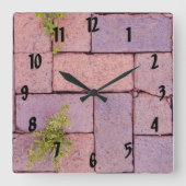 Stenen en onkruid op de foto van de Wandelbaan Vierkante Klok (Voorkant)