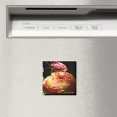 Stenen Magneet (Insitu (Vaatwasser))