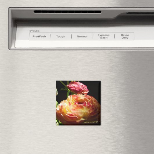 Stenen Magneet (Insitu (Vaatwasser))