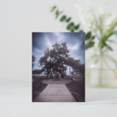 Stenen monument onder levende eik briefkaart (Staand voorkant)