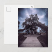 Stenen monument onder levende eik briefkaart (Voorkant / Achterkant)