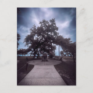 Stenen monument onder levende eik briefkaart