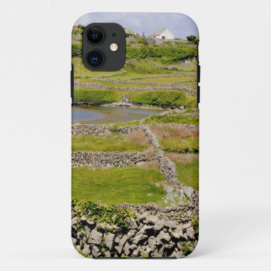 Stenen Muren van Ierland Case-Mate iPhone Case (Achterkant)