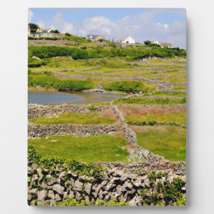 Stenen muren van Ierland Fotoplaat