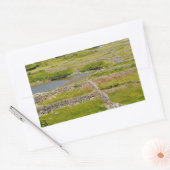 Stenen muren van Ierland Rechthoekige Sticker (Envelop)