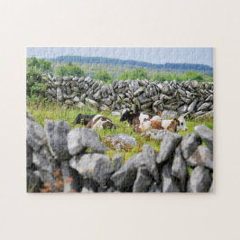 Stenen Muren van Kerry. Legpuzzel