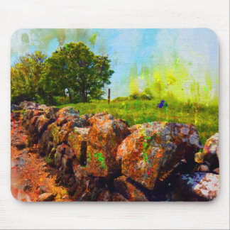 Stenen muur in de zomer, Galway, Ierland, Mouse Ma Muismat