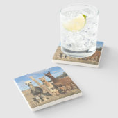 Stenen Onderzetter - Alpacas Phaethon, Gerst, Marv (Zijkant)