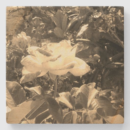 Stenen Onderzetter art design stijl (Voorkant)