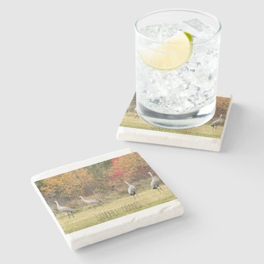 Stenen Onderzetter - Sandhill Cranes (Zijkant)