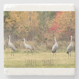 Stenen Onderzetter - Sandhill Cranes
