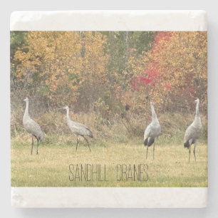 Stenen Onderzetter - Sandhill Cranes
