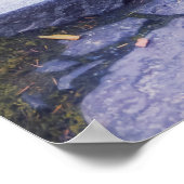 Stenen pad in een herfstig mosrijk bos poster (Hoek)