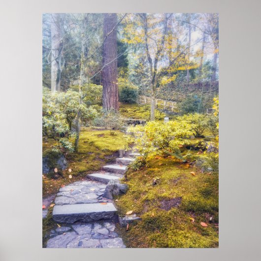 Stenen pad in een herfstig mosrijk bos poster (Voorkant)