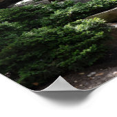 Stenen pad in Natuur Poster (Hoek)