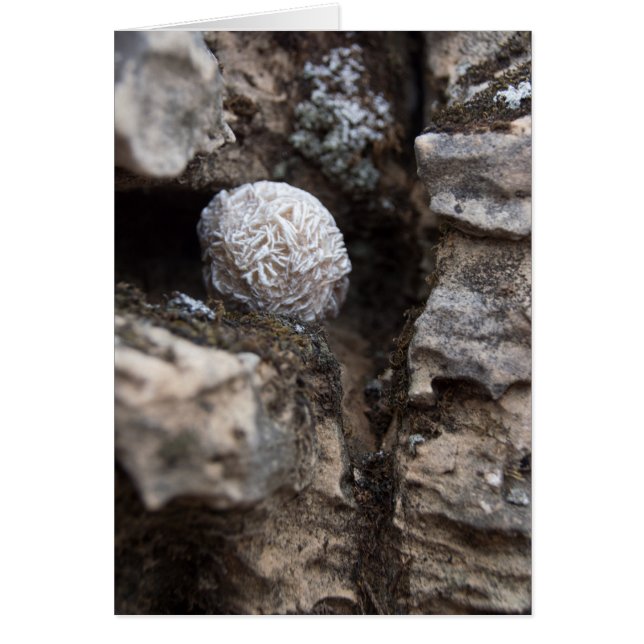 Stenen | Rest Roos 136 (Voorkant)